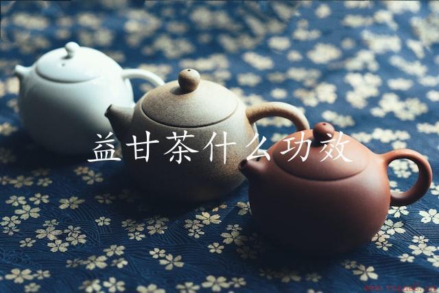 益甘茶什么功效（润肠通便，调节肠道）