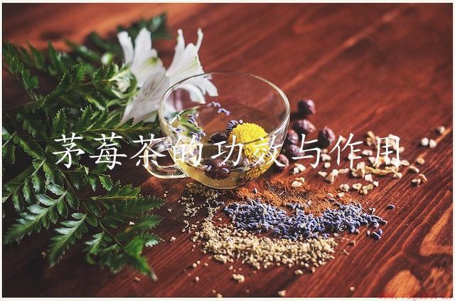 茅莓茶的功效与作用：探索茅莓茶的实用价值