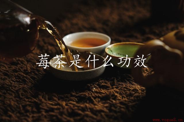 莓茶是什么功效（莓茶的多种保健功效）