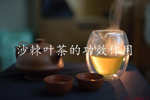 沙棘叶茶的功效作用（抗氧化、抗炎、抗菌）