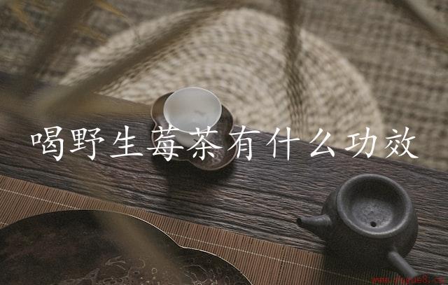 喝野生莓茶有什么功效（提升免疫力）