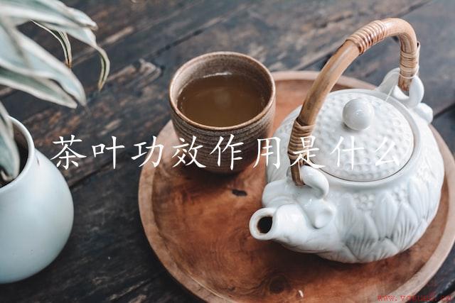 茶叶功效作用是什么（探究茶叶的健康功效）