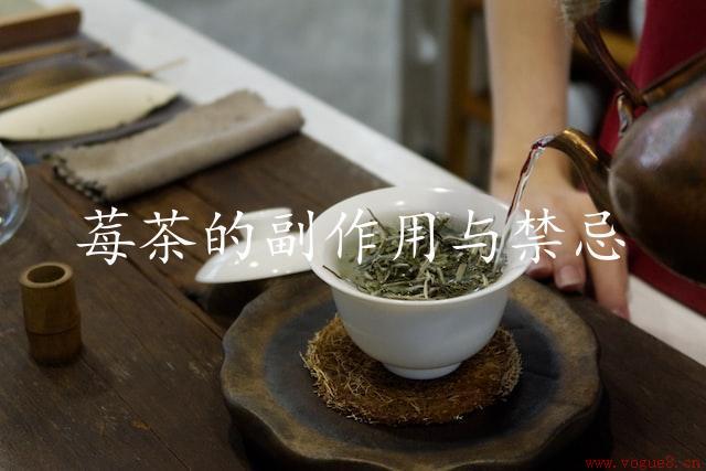 莓茶的副作用与禁忌（把握好量，健康饮用）