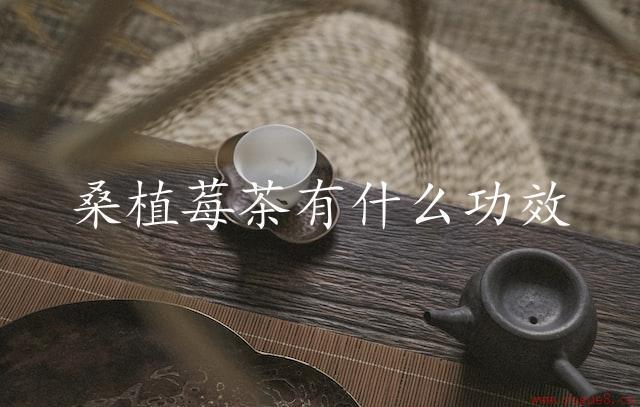 桑植莓茶有什么功效（营养丰富）