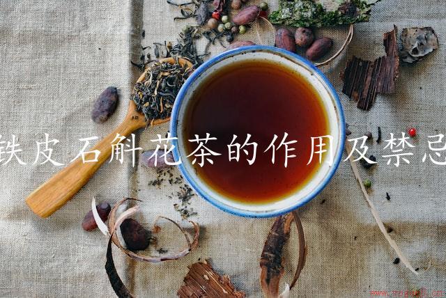 铁皮石斛花茶的作用及禁忌（滋补养颜，小心副作用）