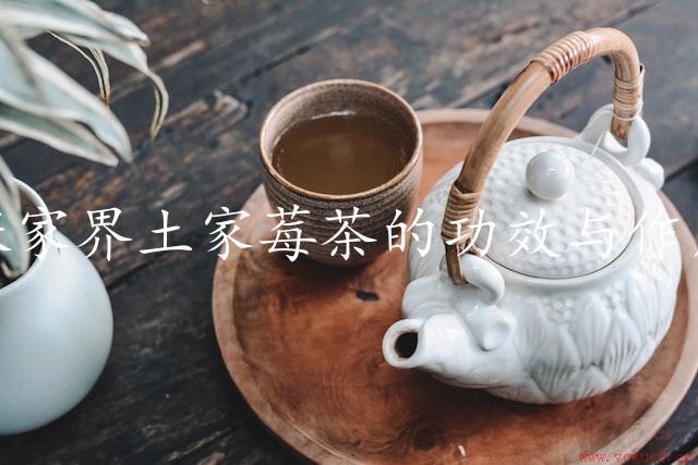 张家界土家莓茶的功效与作用（滋补养身，健康养生）