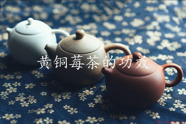 黄铜莓茶的功效（营养丰富，强健身体）