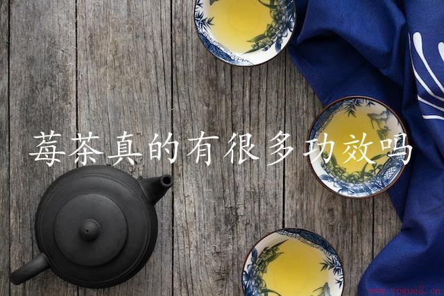 莓茶真的有很多功效吗（科学研究证明）