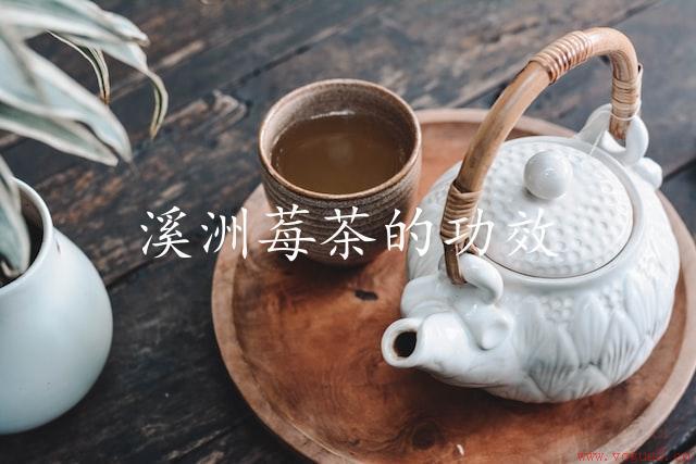 溪洲莓茶的功效（清热解毒，抗病抗衰）