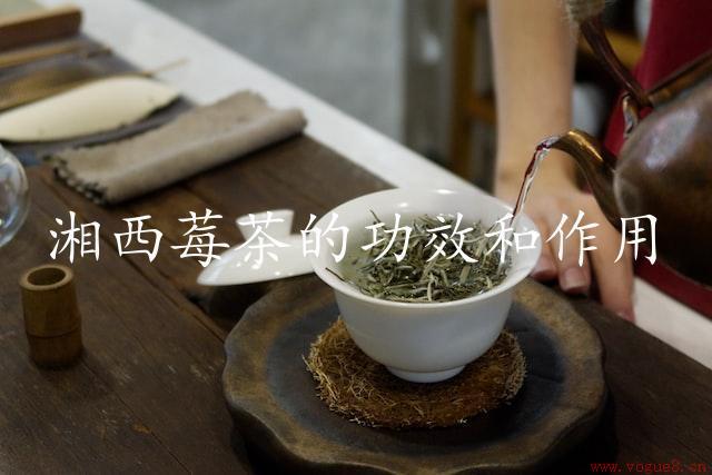 湘西莓茶的功效和作用（健康的礼物）