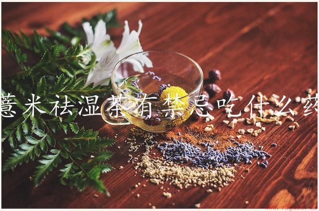 喝薏米祛湿茶有禁忌吃什么药吗（了解薏米祛湿茶的正确使用方法）