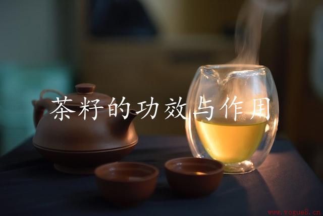 茶籽的功效与作用（营养价值与健康益处）