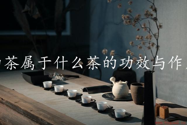 白茶属于什么茶的功效与作用（茶中的瑰宝）