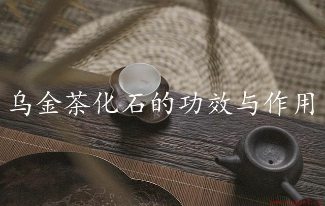 乌金茶化石的功效与作用（活性物质抗氧化）