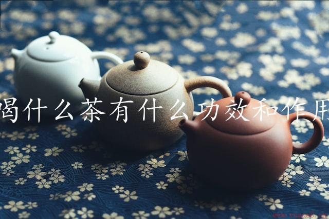 喝什么茶有什么功效和作用（茶饮带来的健康益处）