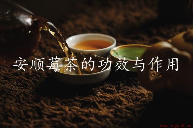 安顺莓茶的功效与作用（清新活力，滋养身心）