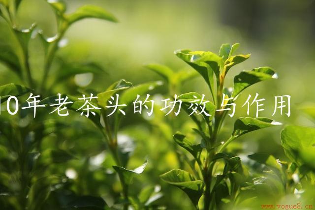 10年老茶头的功效与作用（给人带来健康和安宁）