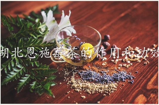 湖北恩施莓茶的作用和功效：健康美容的天然来源