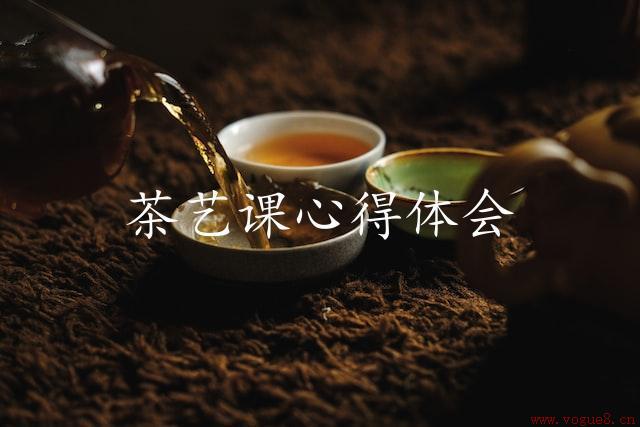 茶艺课心得体会：从古典茶道到茶艺文化