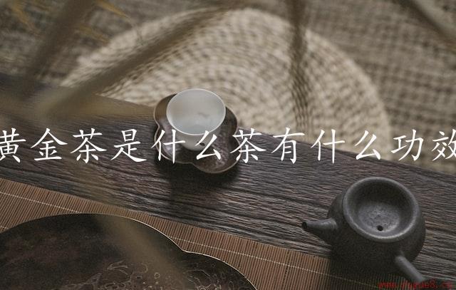 黄金茶是什么茶有什么功效（了解滋补功效）