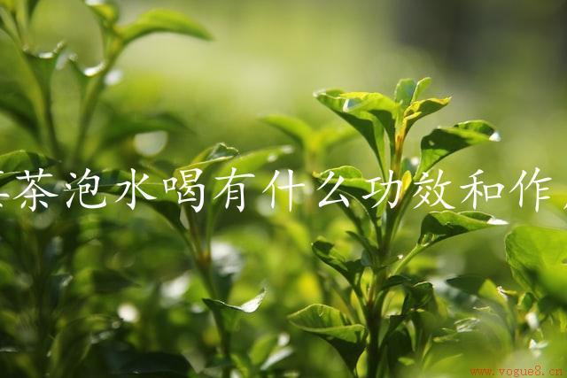 莓茶泡水喝有什么功效和作用（探究莓茶的健康作用）