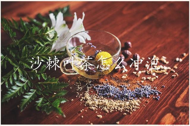 沙棘叶茶怎么冲泡（正确的冲泡方法）