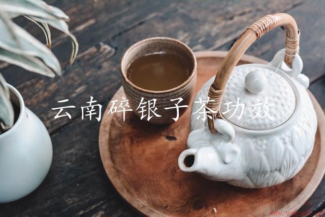 云南碎银子茶功效（润肺养胃）