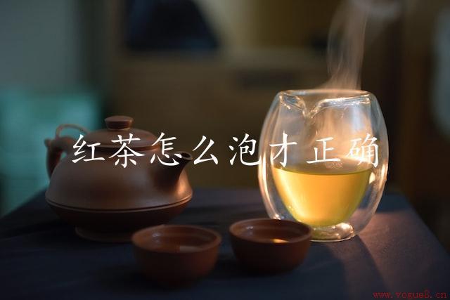 红茶怎么泡才正确（掌握正确煮法，品茶美味无比）