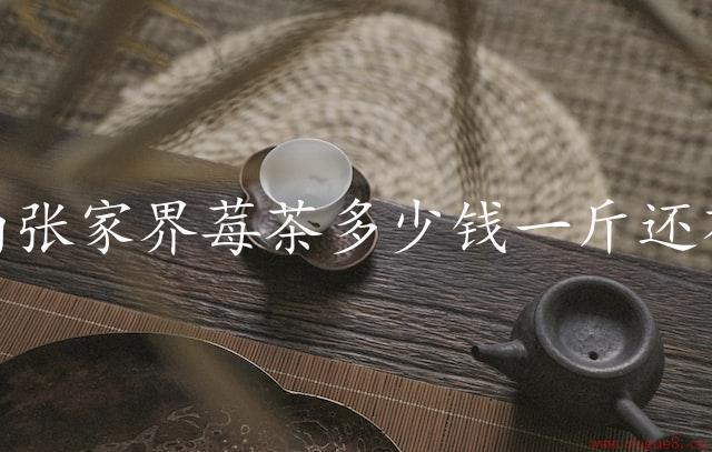 湖南张家界莓茶多少钱一斤还有什么功效（探究莓茶的价格与功效）