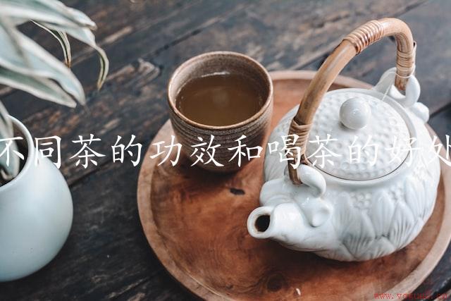 不同茶的功效和喝茶的好处：从茶的发源到现代的健康饮茶