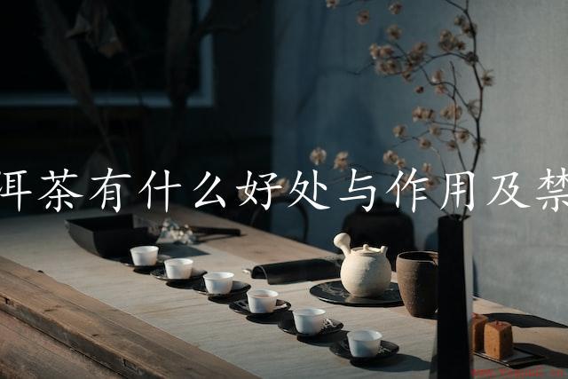 普洱茶有什么好处与作用及禁忌（普洱茶的健康功效）