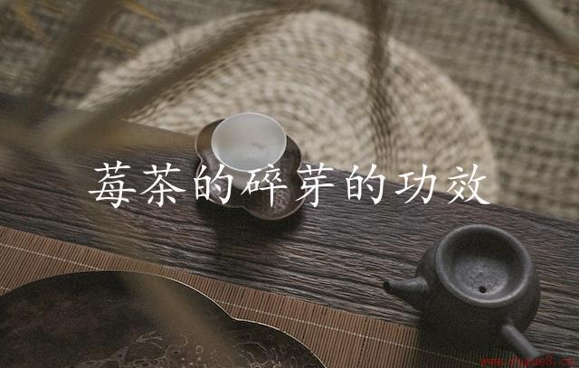 莓茶的碎芽的功效（给你带来健康）