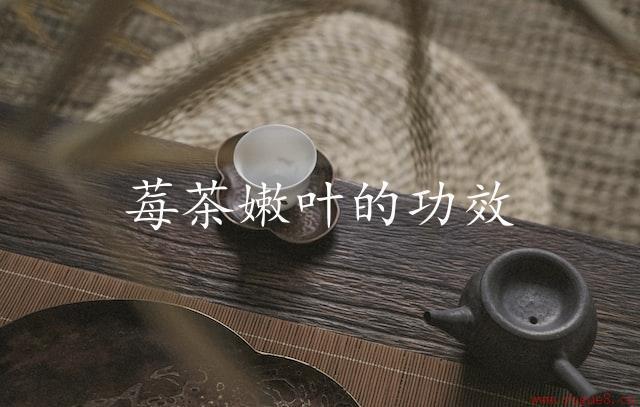 莓茶嫩叶的功效：滋补调养你的健康