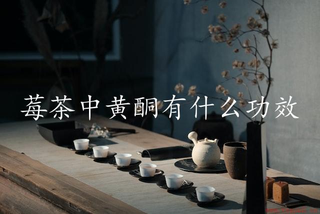 莓茶中黄酮有什么功效（莓茶中黄酮的营养价值）