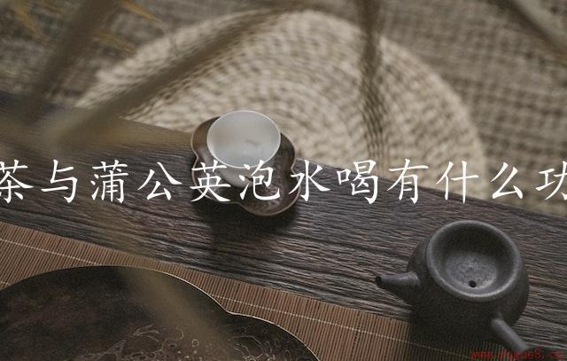 莓茶与蒲公英泡水喝有什么功效（探索自然的美好）