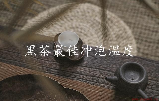 黑茶最佳冲泡温度：热水是黑茶冲泡的基础