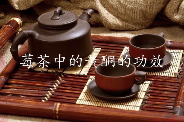 莓茶中的黄酮的功效：营养丰富、抗氧化功能强