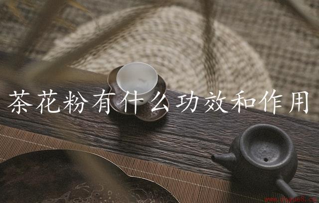 茶花粉有什么功效和作用（营养价值极高）