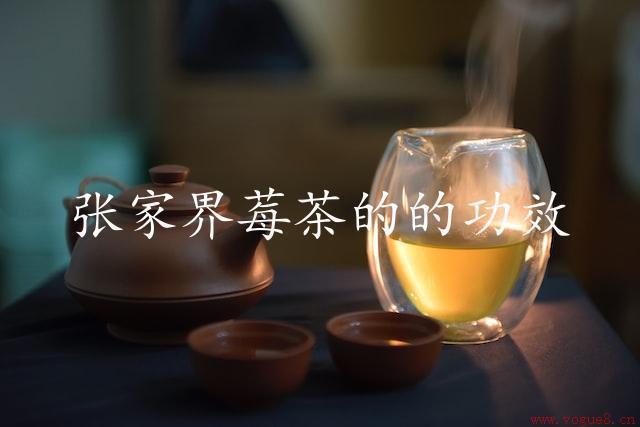 张家界莓茶的功效（滋补养颜的自然美容）