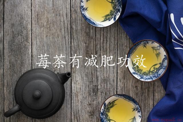 莓茶有减肥功效（调节新陈代谢，燃烧脂肪）