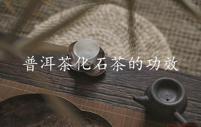 普洱茶化石茶的功效（活性成分多，抗氧化能力强）