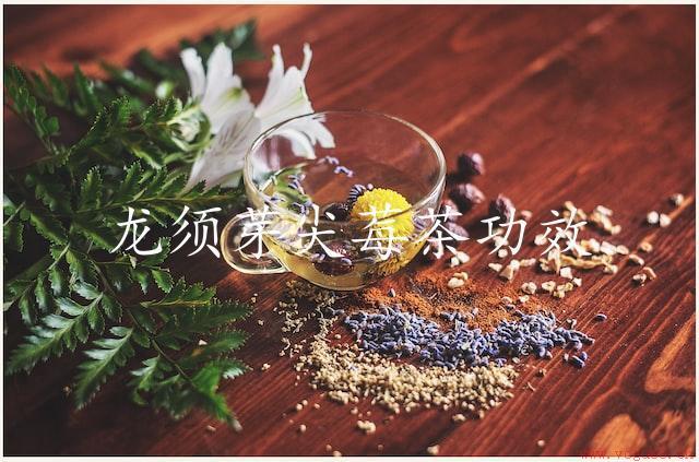 龙须芽尖莓茶功效（抗氧化，抗衰老）