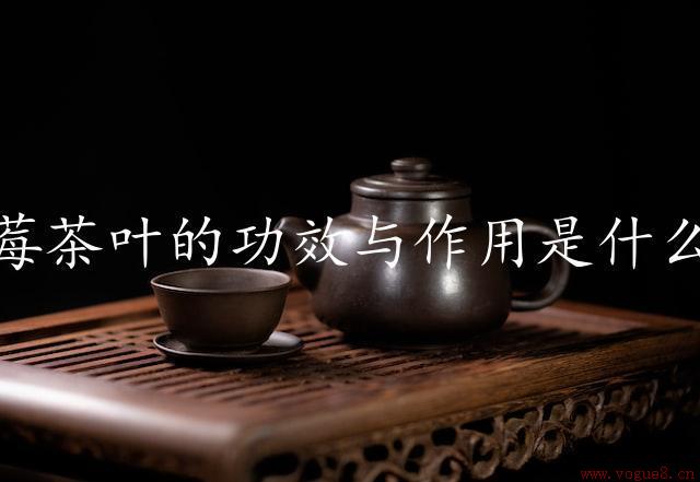 莓茶叶的功效与作用是什么（研究莓茶叶的健康益处）