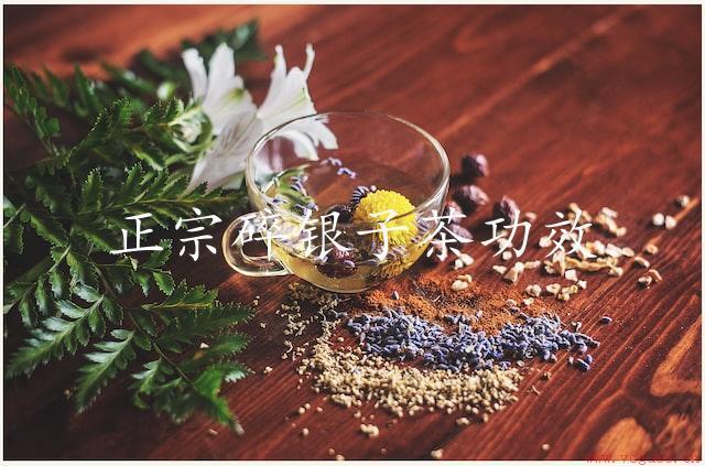 正宗碎银子茶功效（让你体验茶之魅力）