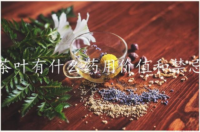 茶叶有什么药用价值和禁忌（解析茶叶的药用价值与禁忌）