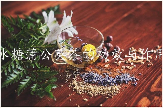 冰糖蒲公英茶的功效与作用（祛病延年，滋补身体）