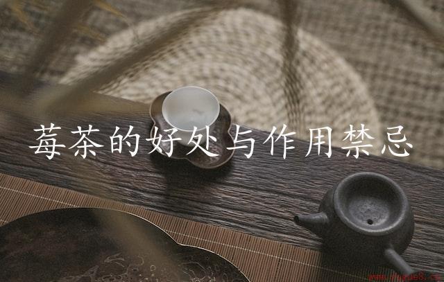 莓茶的好处与作用禁忌（提升健康，缓解疲劳）