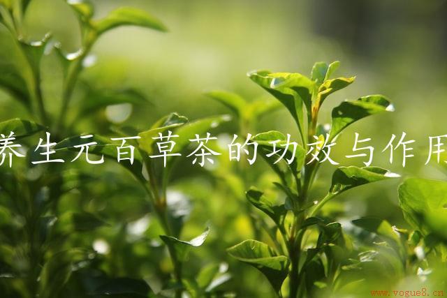 养生元百草茶的功效与作用（给你带来健康）