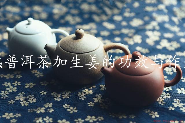 熟普洱茶加生姜的功效与作用（滋补佳品）