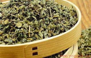 罗布麻茶怎么做？独家自制罗布麻茶秘方